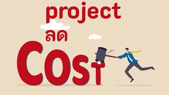 project reduces costs project ลด ต้นทุน