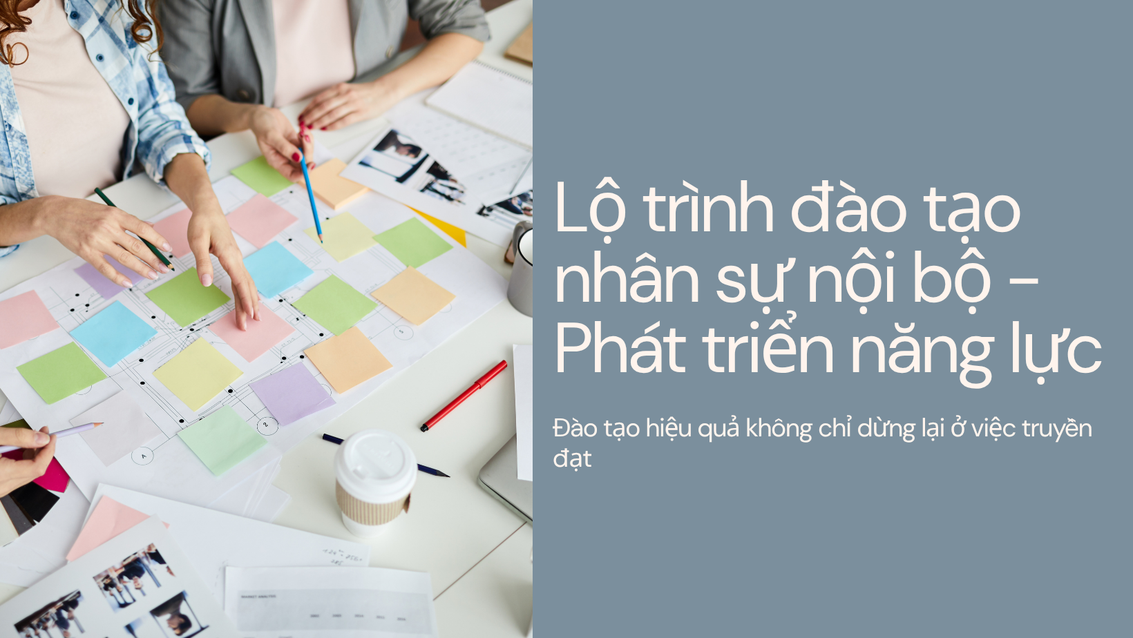 Lộ trình đào tạo nhân sự