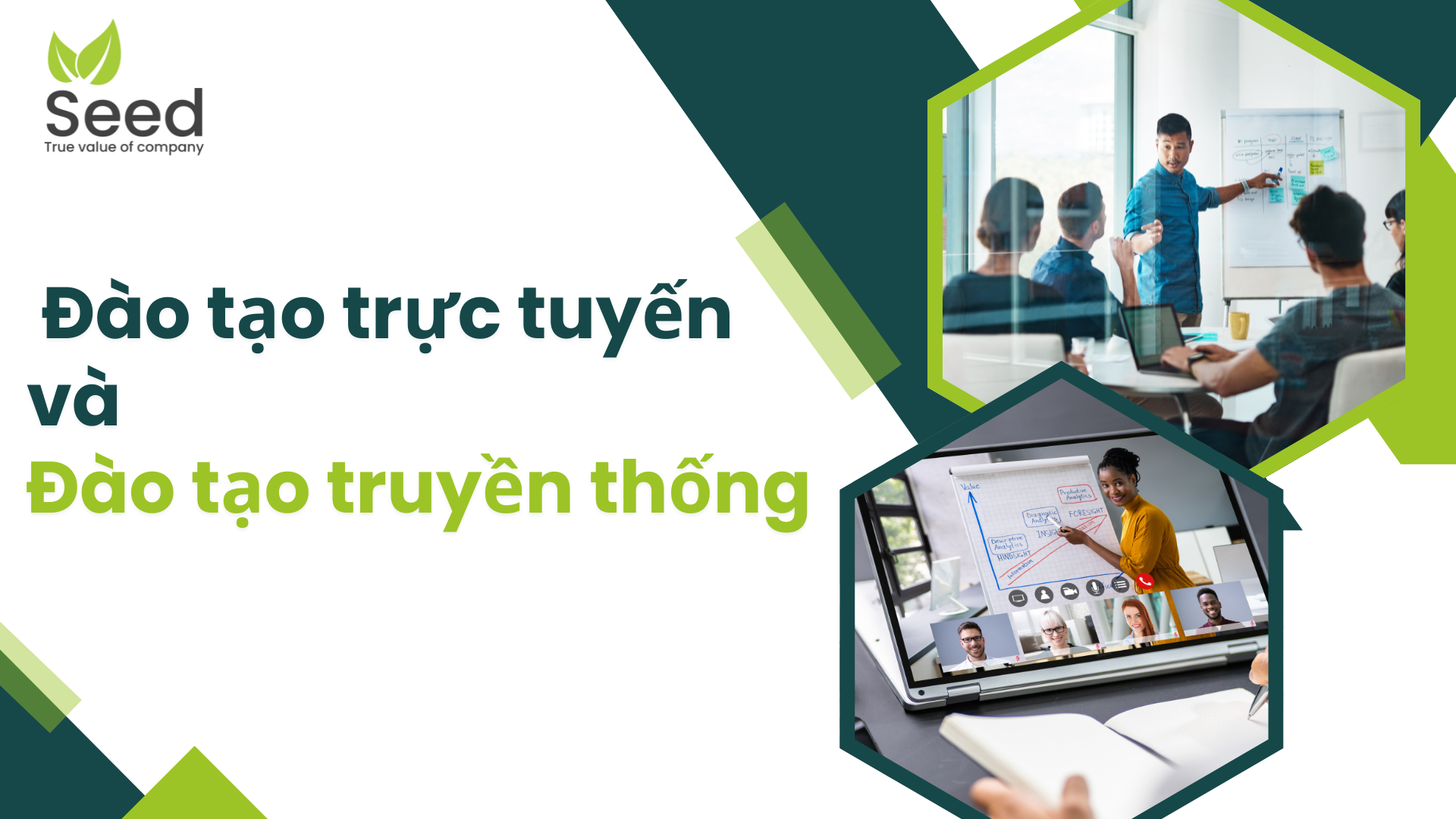 Seed So sánh đào tạo trực tuyến và đào tạo truyền thống