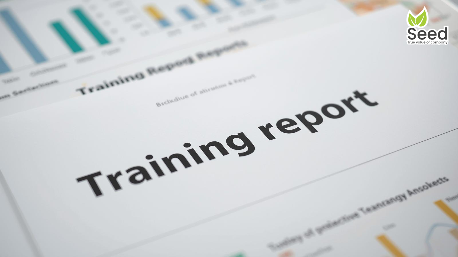 báo cáo đào tạo nhân viên