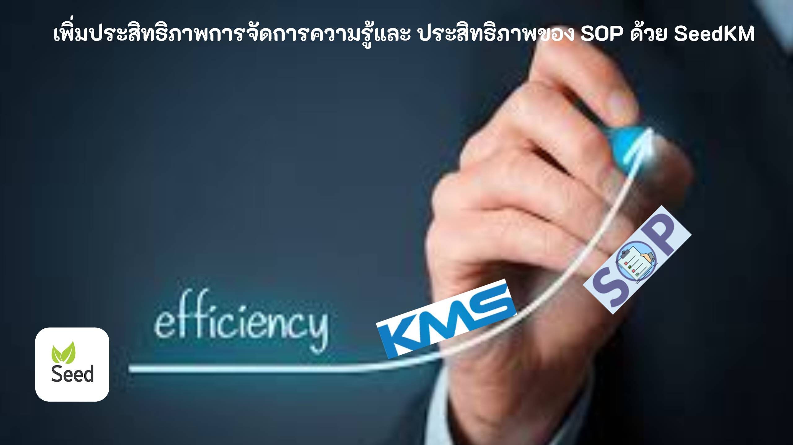 ประสิทธิภาพของ SOP